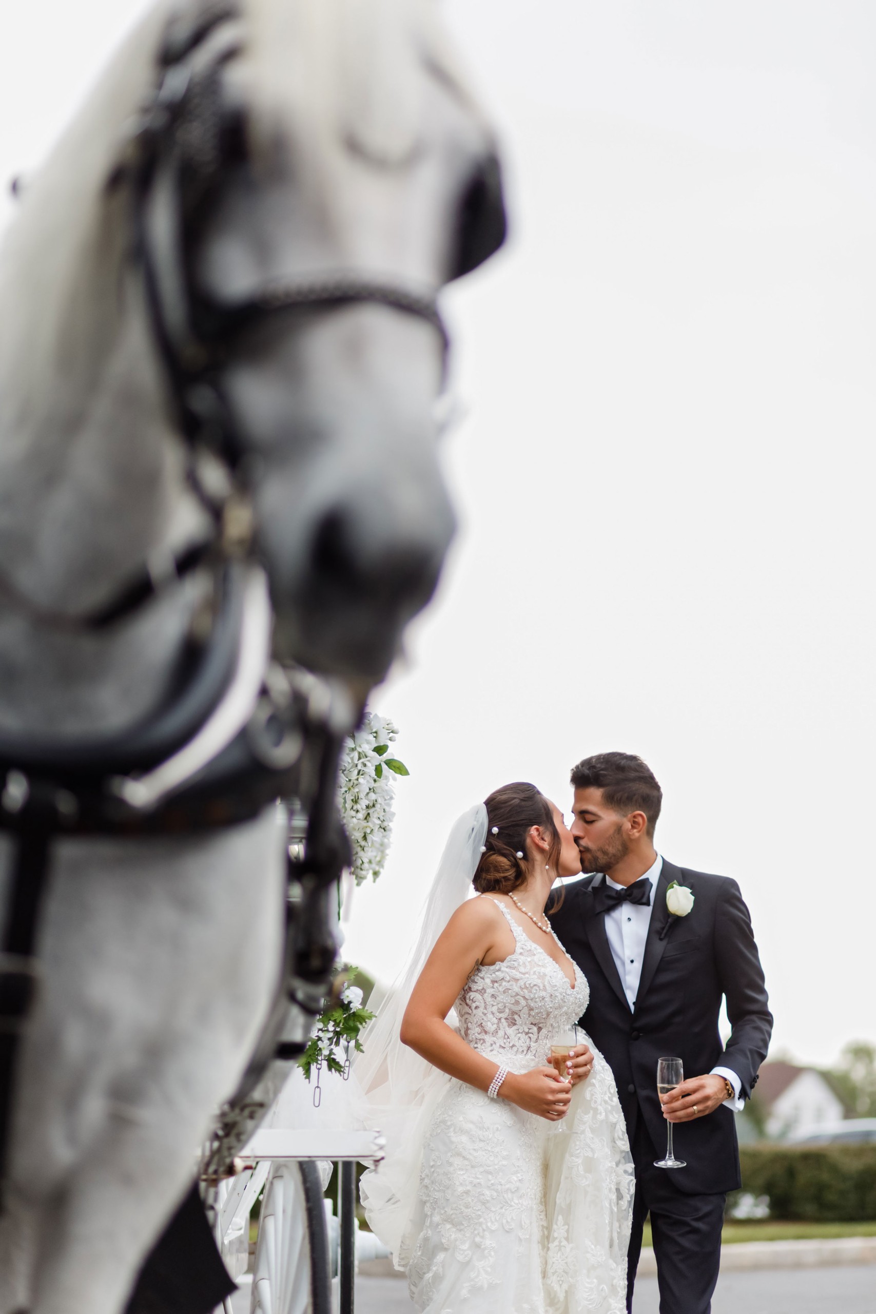horse-wedding-photo