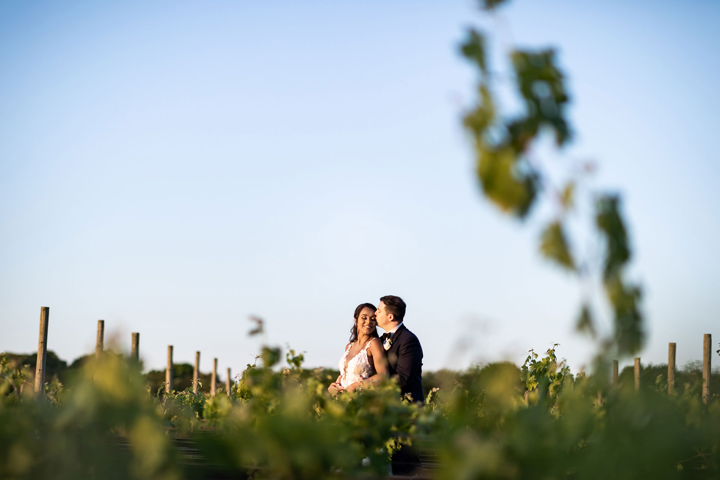 vineyard-wedding-photo-new-york