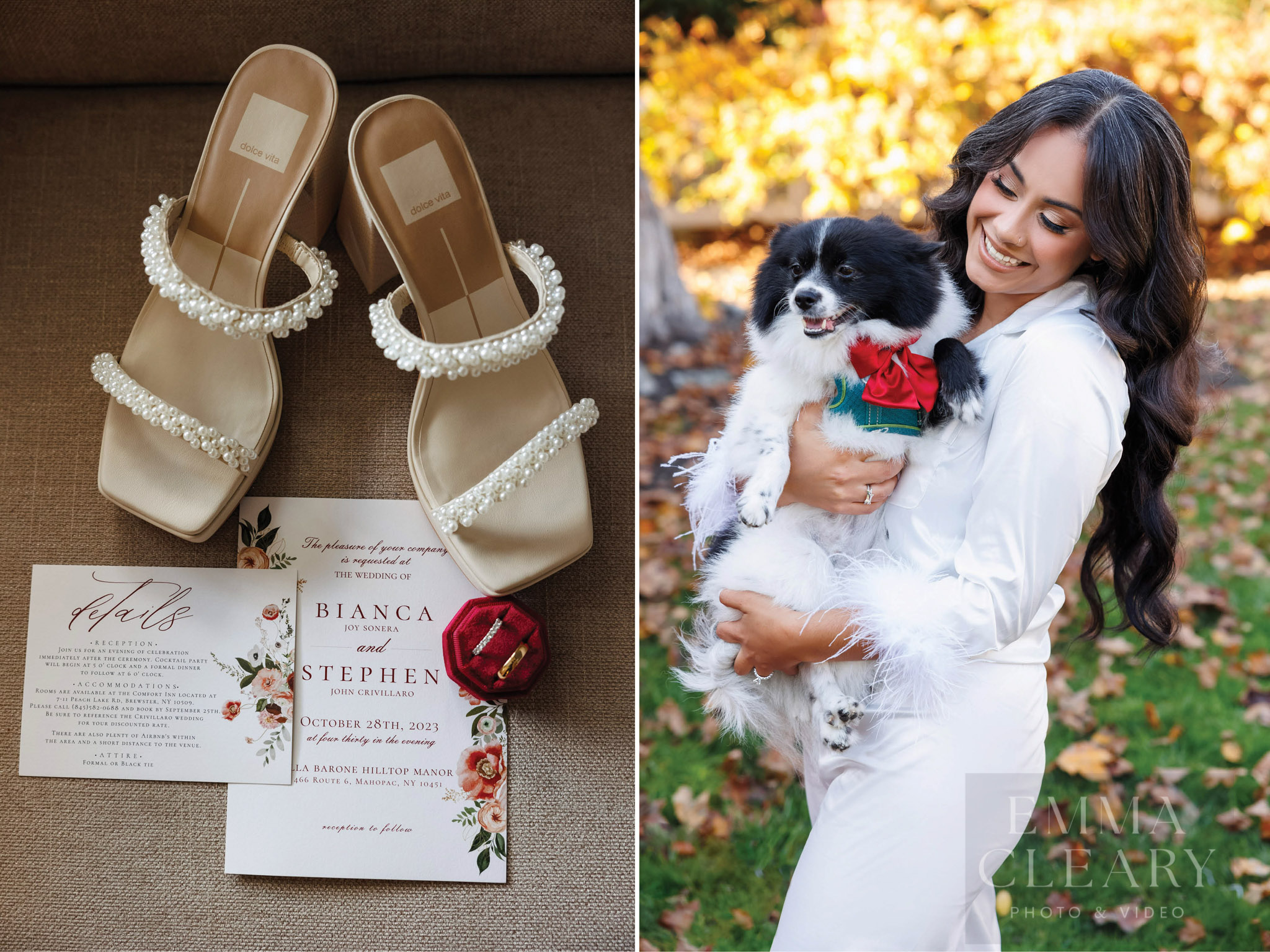 Wedding details, bride and dog