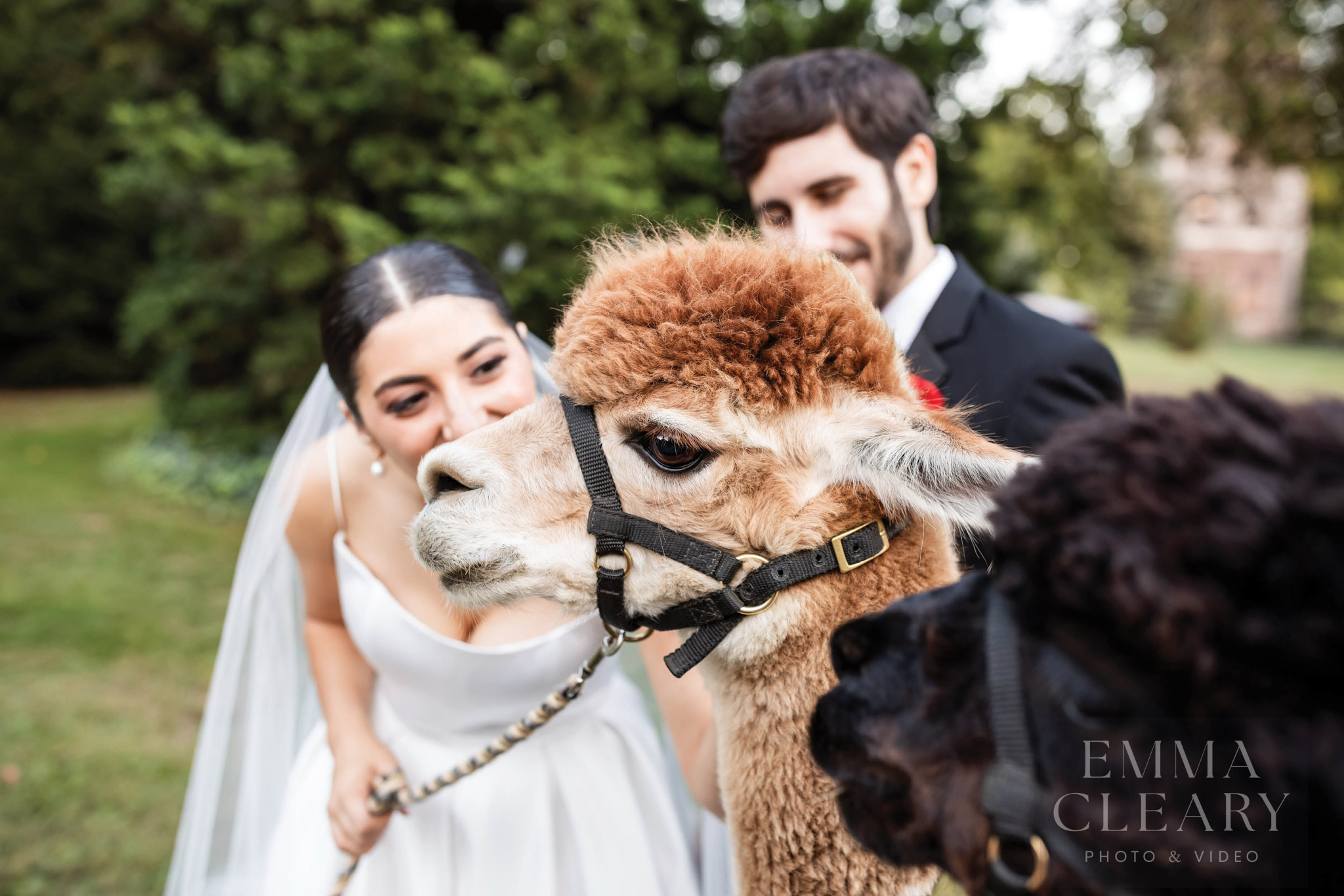 The Inn at Fernbrook Farms Wedding