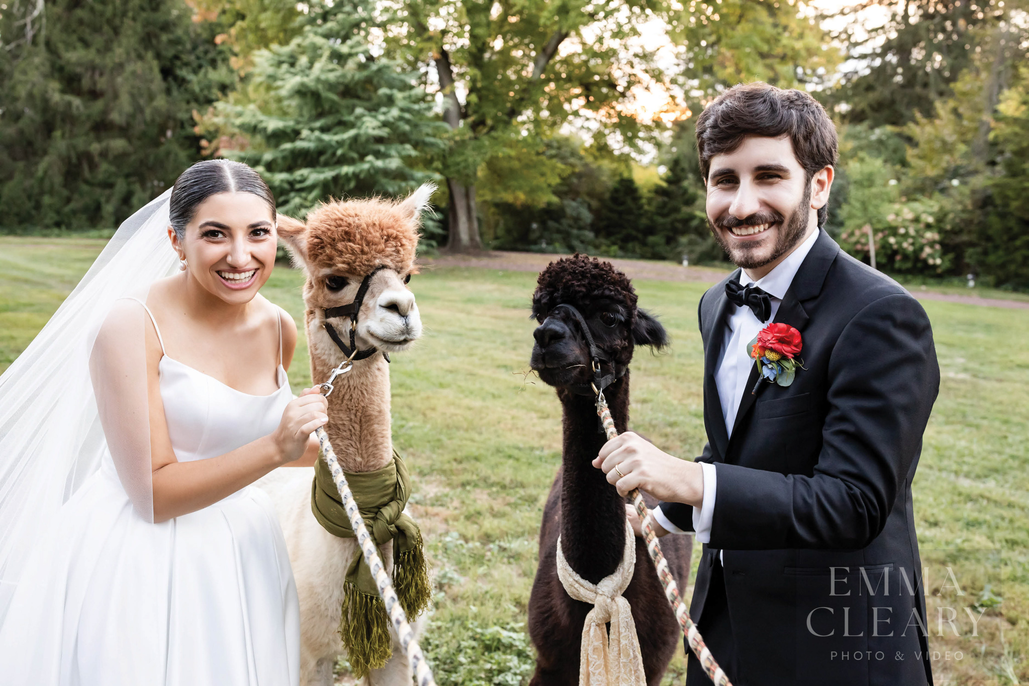 The bride and the groom photo