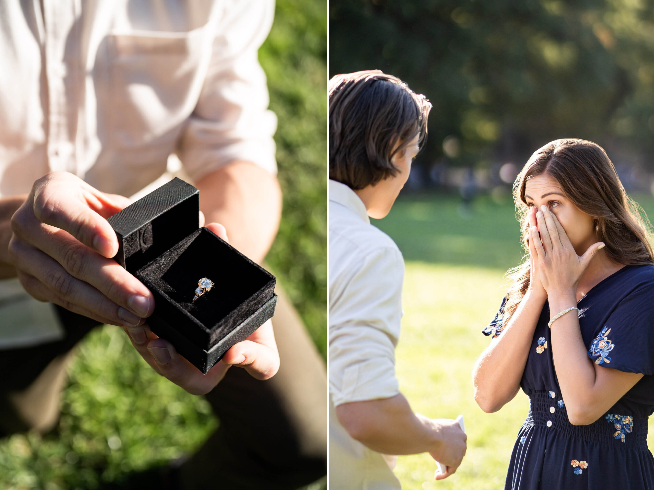 proposal photographer