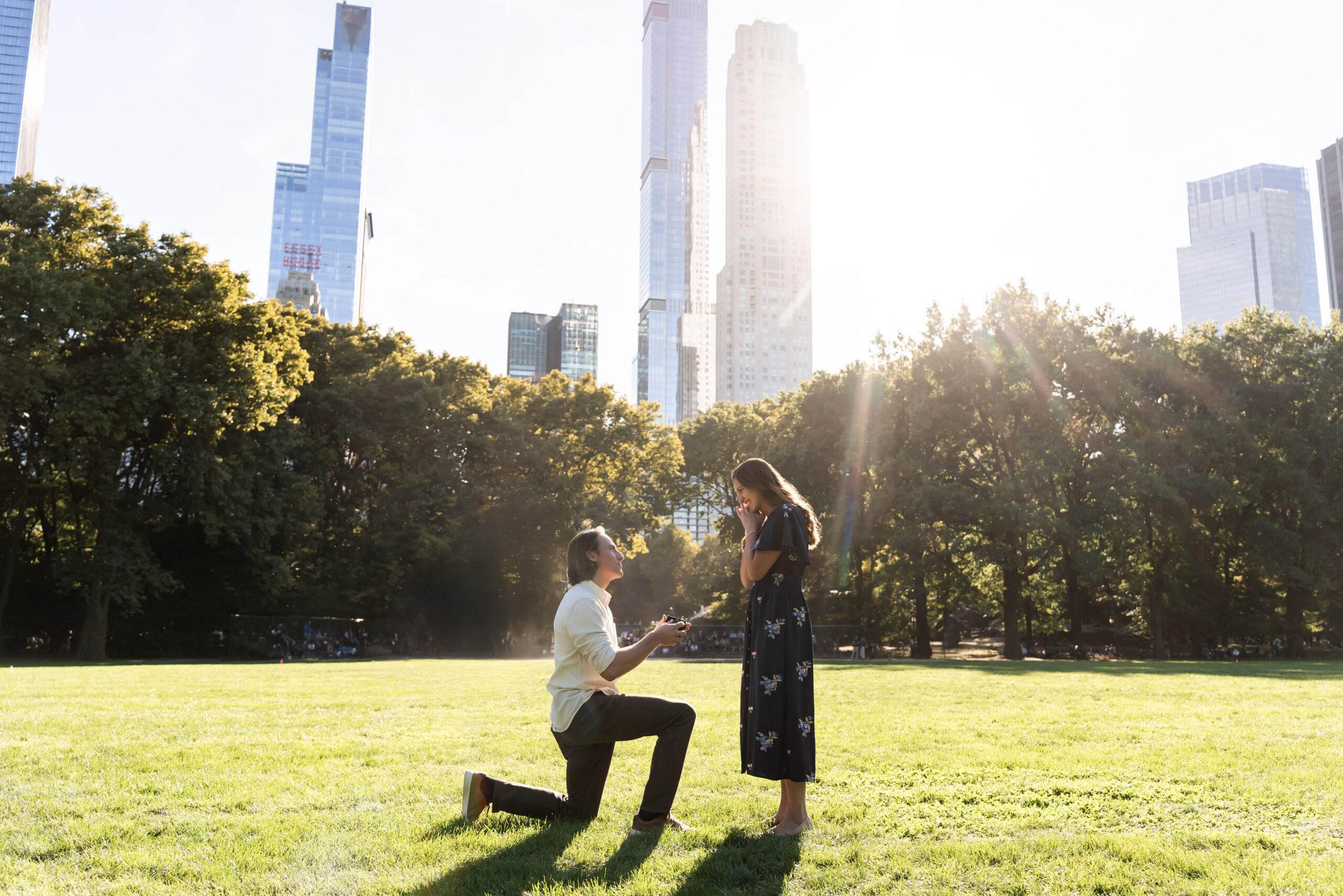 New York City proposal photos