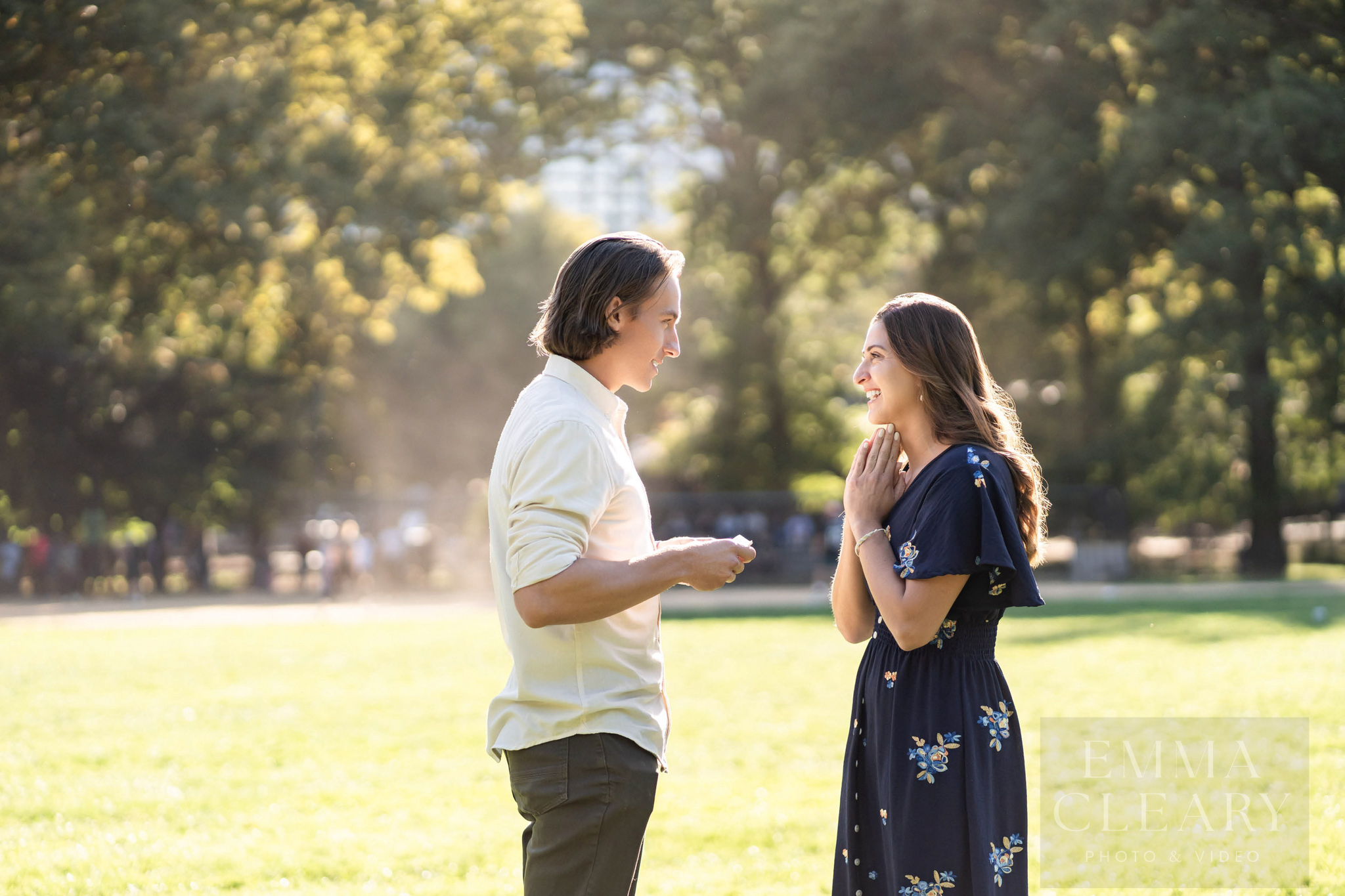 Central Park Proposal