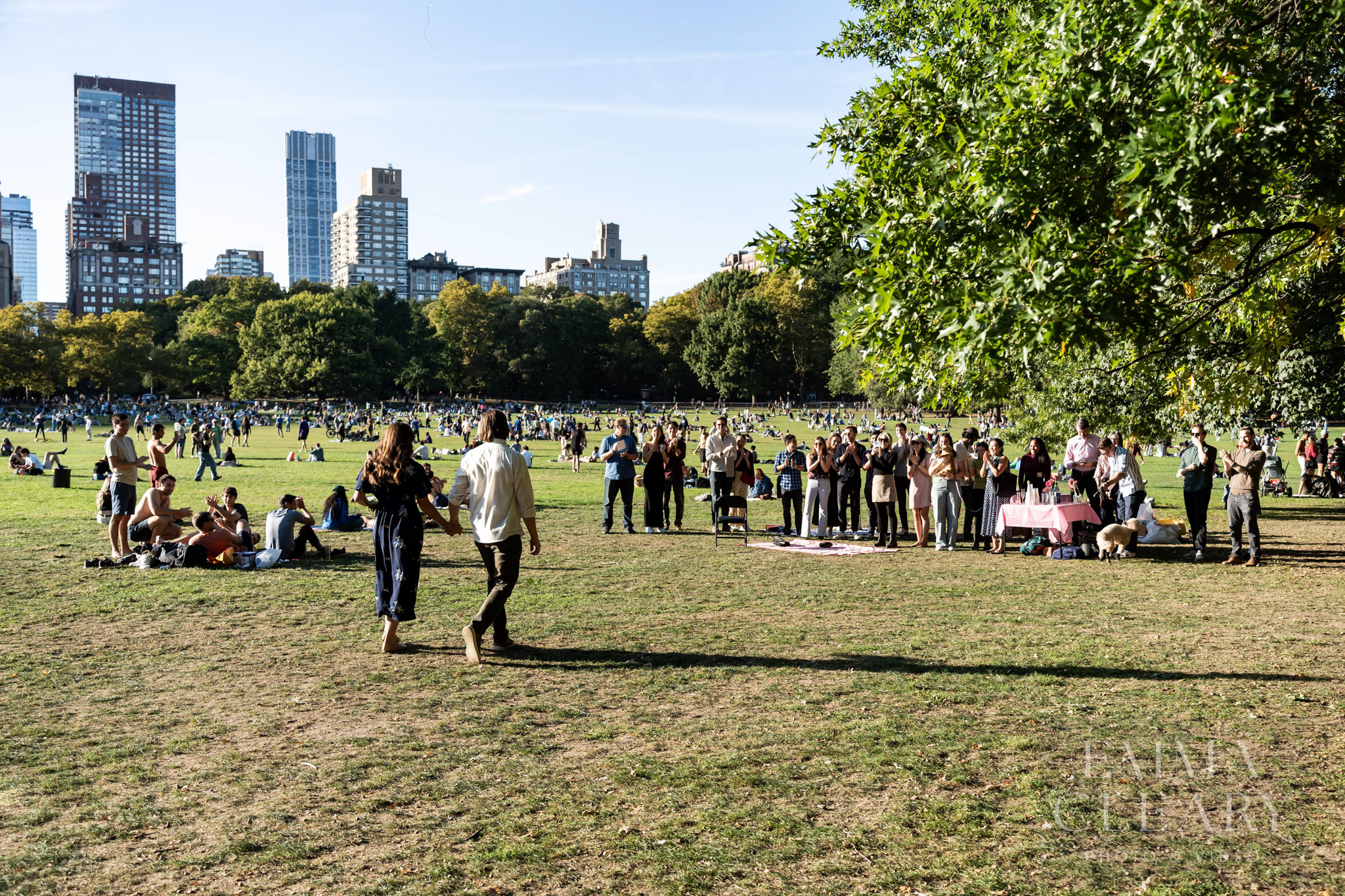 Central Park Proposal