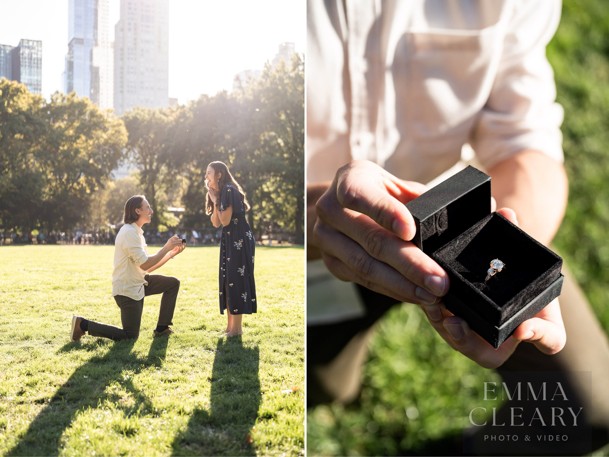 Central Park An unexpected Proposal