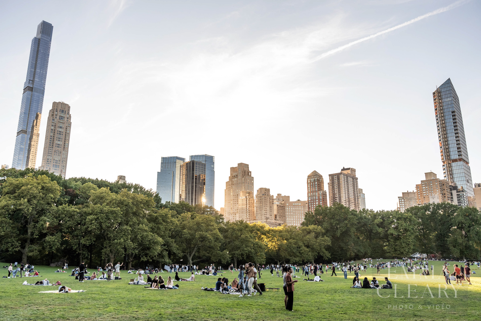 Central Park Proposal