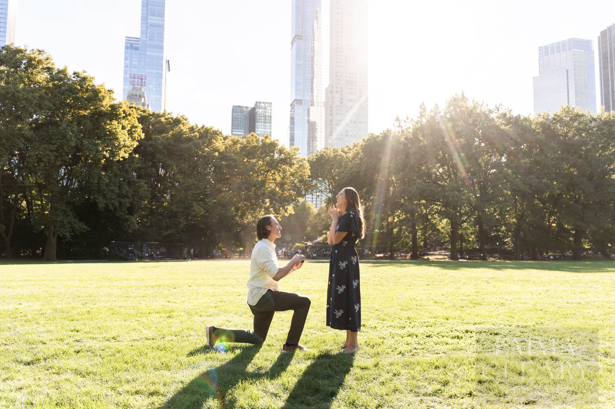 Central Park An unexpected Proposal