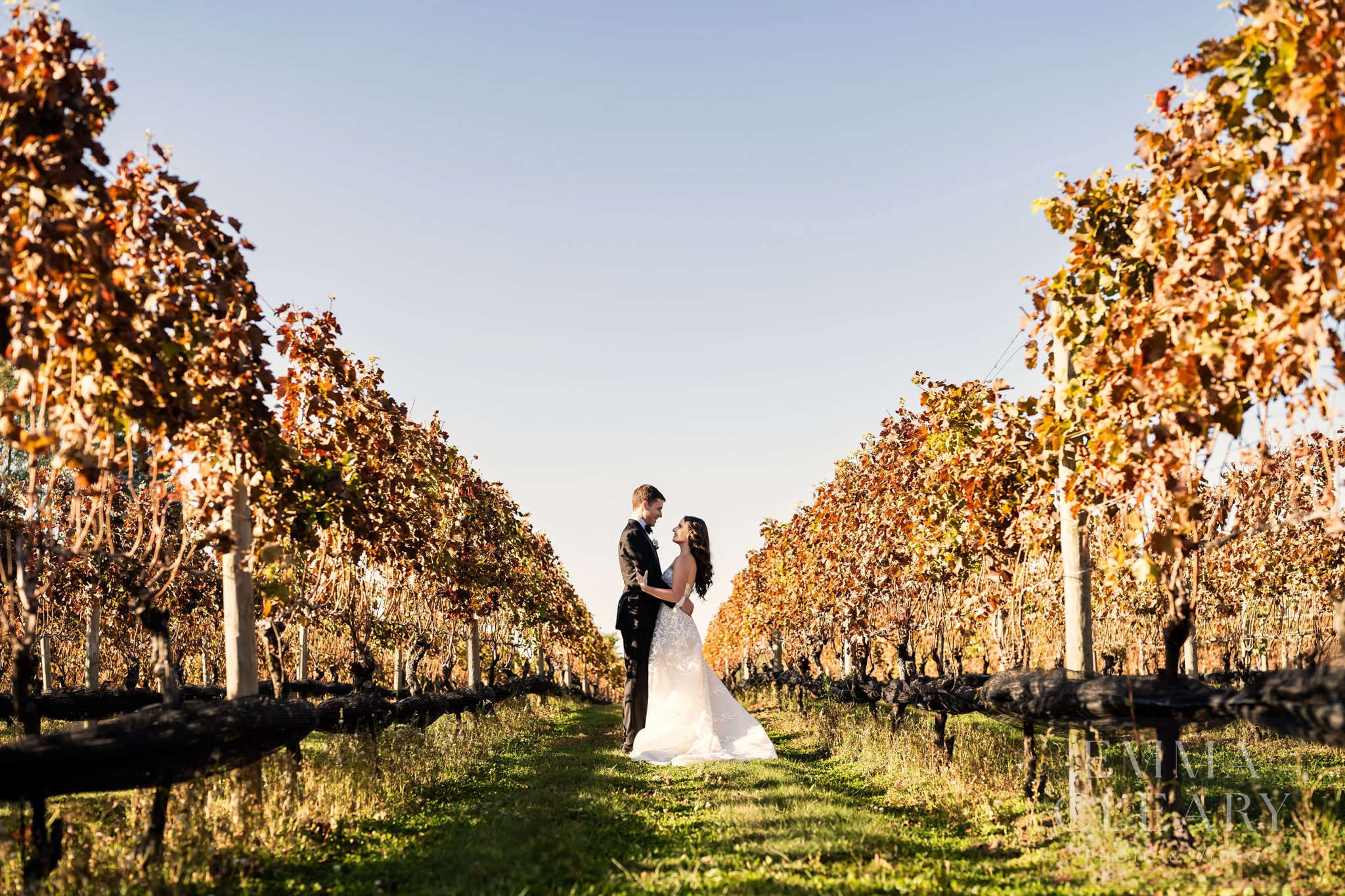 Vineyards at Aquebogue wedding